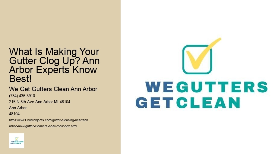 What Is Making Your Gutter Clog Up? Ann Arbor Experts Know Best!